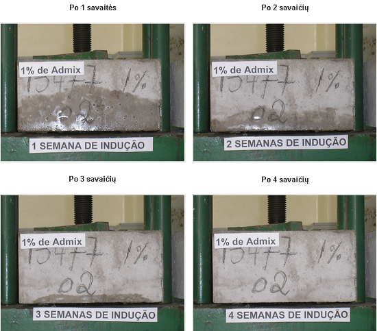 betono-hidroizoliacijos-penetron-admix-tyrimas