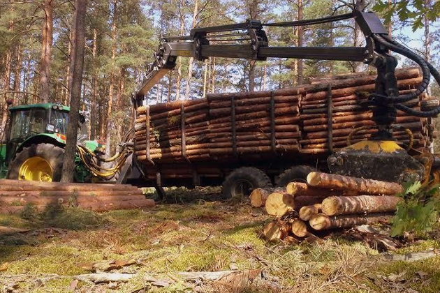 Medienos traukimas ir sandėliavimas miškuose visoje Lietuvoje