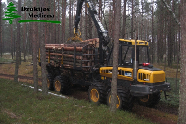 Perkame mišką su žeme, statų mišką iškirtimui, tvarkome mišką visoje Lietuvoje