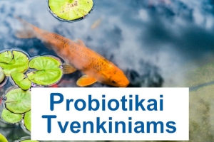 Tvenkinių su žuvimis valymas nuo dumblių ir mikrobiologinės būklės gerinimas – Probiotikai Tvenkiniams