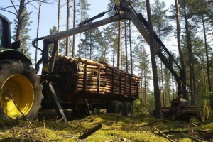 Medienos traukimas ir sandėliavimas miškuose visoje Lietuvoje